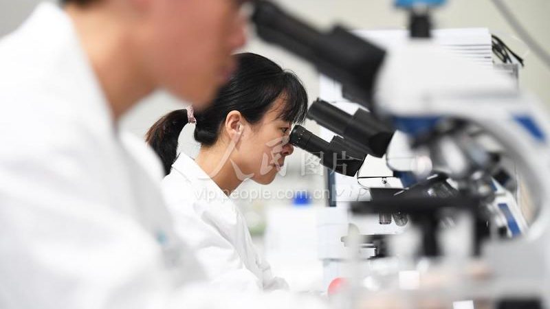 小分子CDMO工艺流程：揭秘药物研发的“幕后英雄”**
