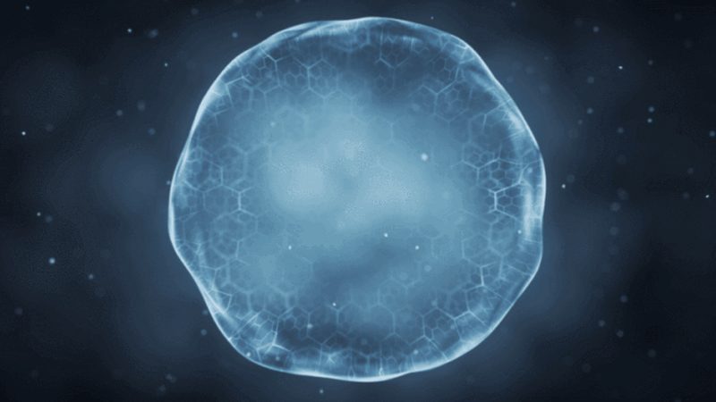 CDMO工艺流程分类解析：揭秘生物医药生产的秘密武器