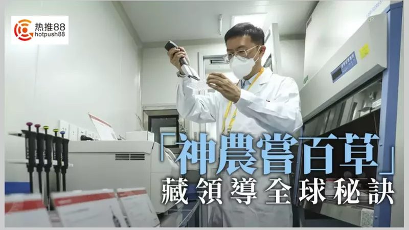 食品PCR检测：如何评估报价单的合理性与准确性**