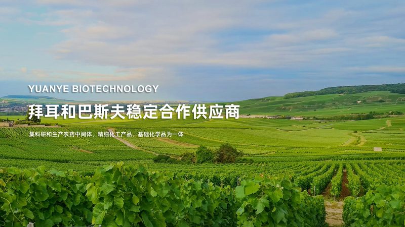 PCR实验室设备配置清单：构建精准检测的基石