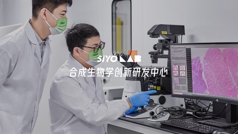 引物合成纯化，揭秘PCR实验的精准之源