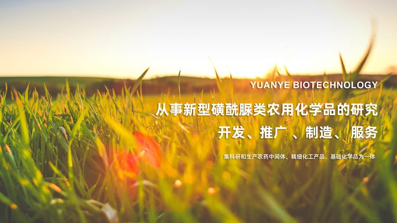 PCR引物合成的关键步骤与质量控制要点