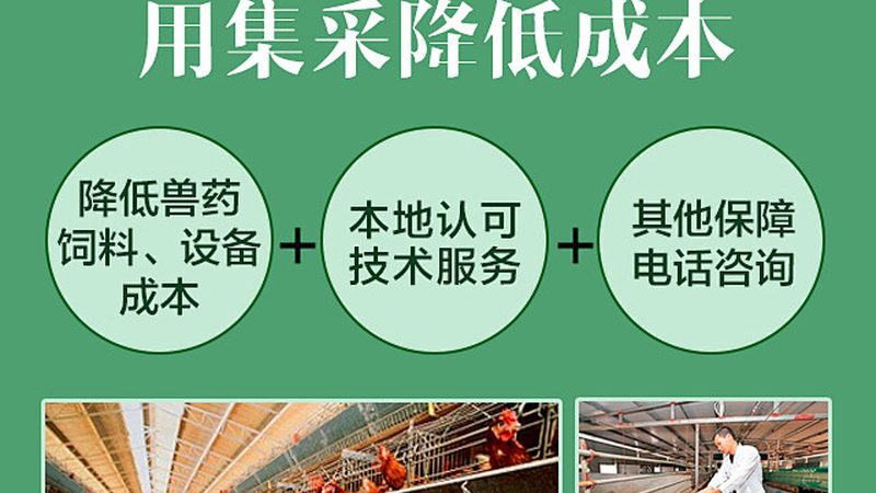 引物合成纯化：揭秘其价格背后的秘密**