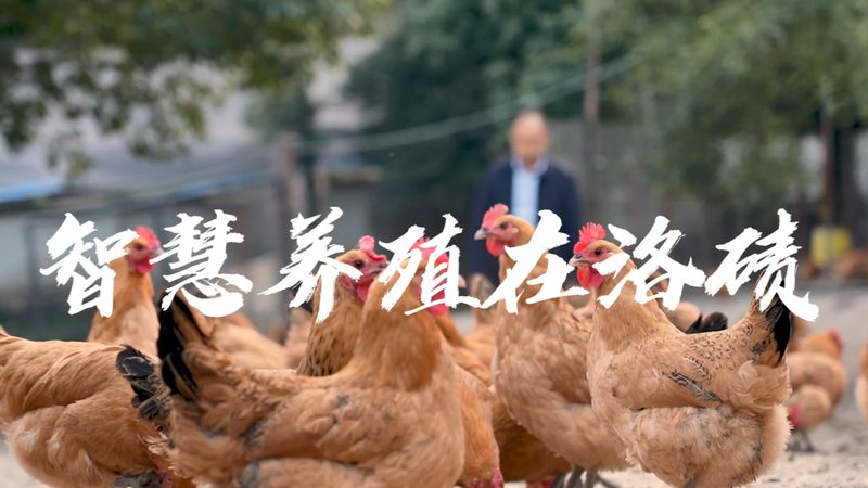 生物科技研发流程：揭秘报价背后的关键要素**