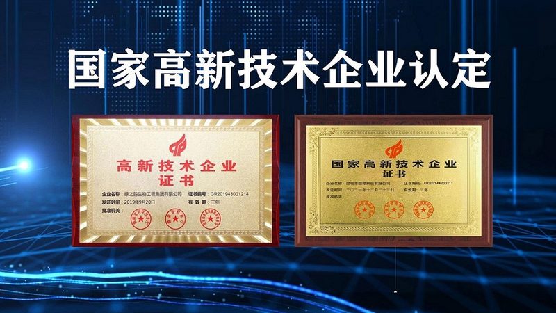 DNA聚合酶型号解析：揭秘基因编辑的“精准利器