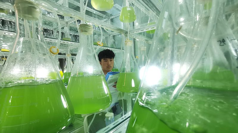 RNA提取试剂盒操作步骤详解：关键环节与注意事项